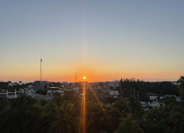 By blandt palmer i solnedgang