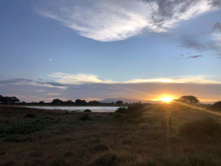 Solnedgang over savannen